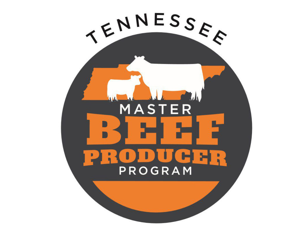 Master Beef Logo