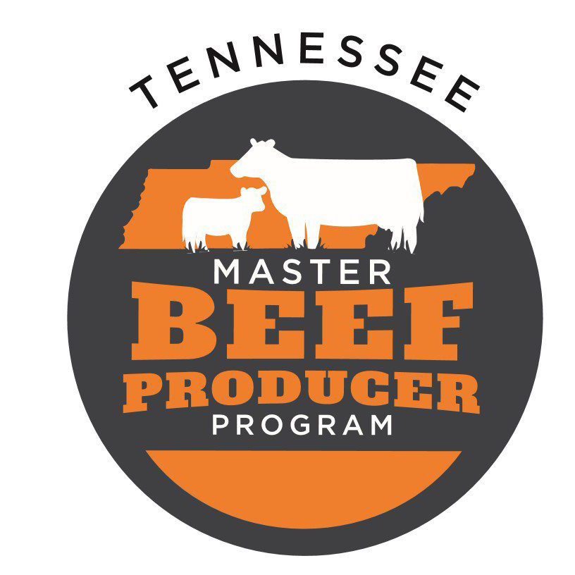 Master Beef Producer Logo 