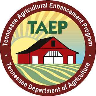 TAEP Logo 